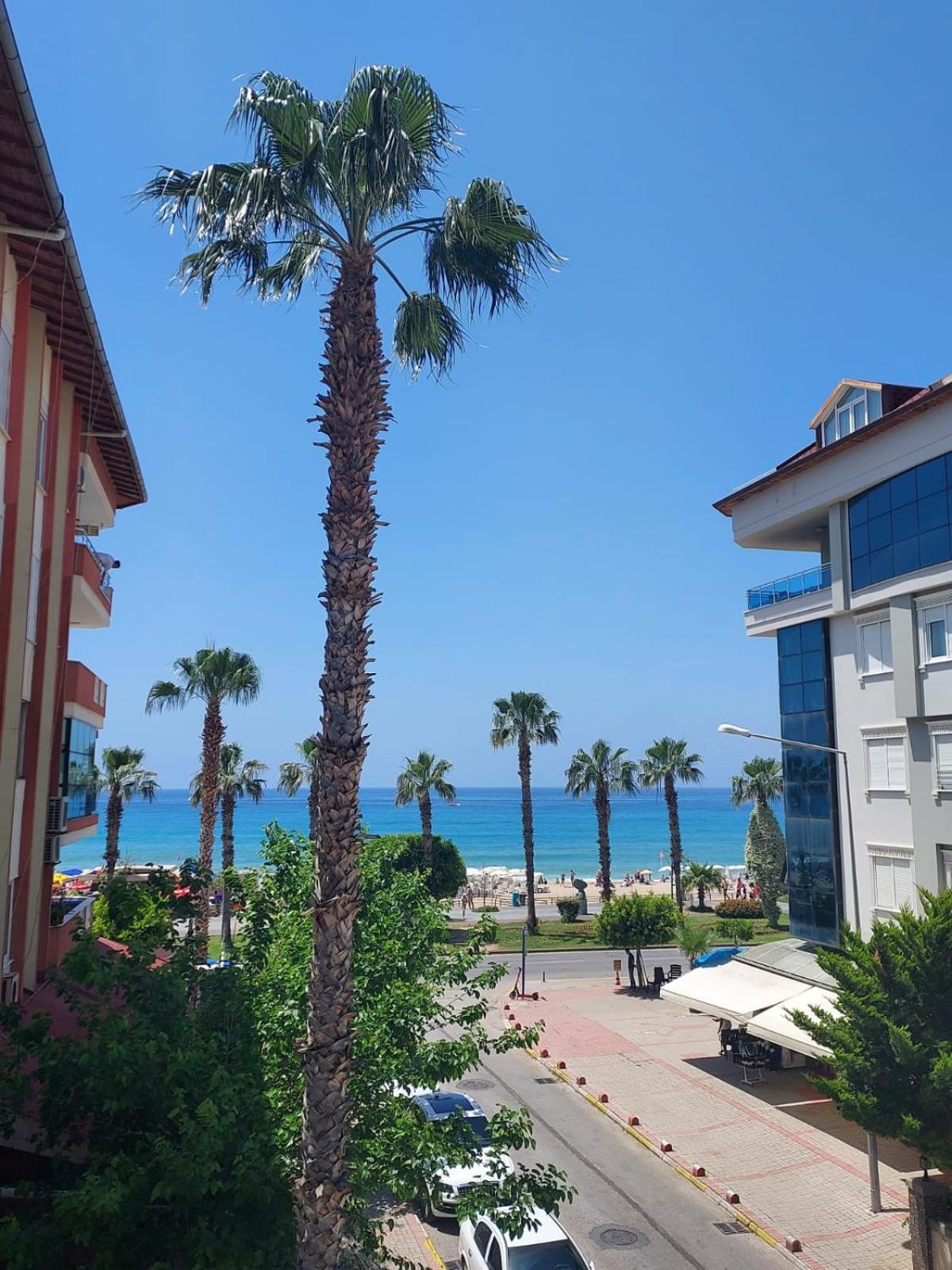 Kleopatra Sahara Hotel Алания Экстерьер фото
